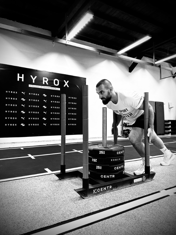 steli-profilna-snimka-2026